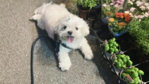 Lim Se-joo Instagram - 베프와 요 며칠 데이트