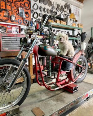 Lin Oeding Instagram - Baby Lamborghini or Vintage Motorcycle? What’s your pick 👉🏼