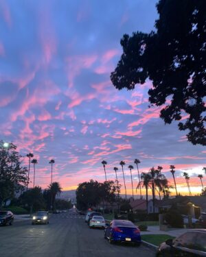 Lincoln Melcher Instagram - LA doesn’t need filters