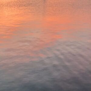 Lincoln Younes Instagram - Moments lately that have reminded me to breathe... Hope these give you a moment of peace.