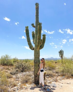 Linda Lind Instagram - Went to #Arizona and saw some giant cacti 🌵 #desert