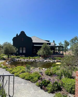 Lindiwe Mazibuko Instagram - Winelands adventure at beautiful @baccoestate ❤️🍷