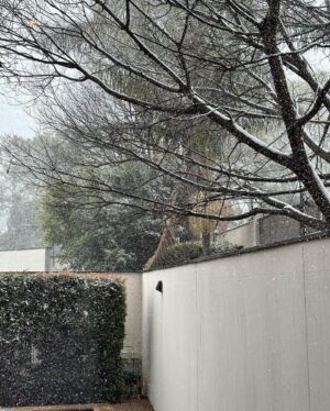 Lindiwe Mazibuko Instagram - Will literally any work get done on Snow Day in Johannesburg? 😭☃️❄️