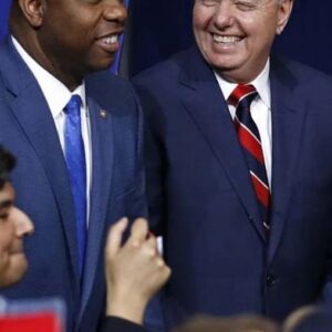 Lindsey Graham Instagram - I've never been more proud of @senatortimscott than I am tonight. He did an outstanding job representing the conservative point of view and the state of South Carolina.