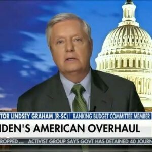 Lindsey Graham Instagram - President Biden is going to put VP Harris in charge of cleaning up the mess at the border – I’d gladly work with her, but she doesn’t understand what’s generated this problem. This is not a Trump problem – this is a Biden problem.