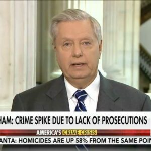 Lindsey Graham Instagram - The reason there’s a spike in crime is nobody is getting prosecuted when they go into Walmart and clean the place out. There's nothing worse for a cop than to catch a bad guy and see them right back out on the street.