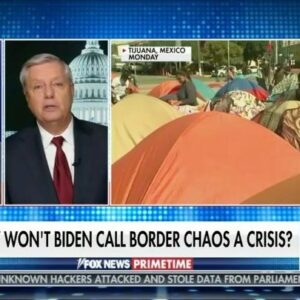 Lindsey Graham Instagram - I’m calling on Homeland Security Secretary Mayorkas – if you don’t understand we have a crisis on our southern border, you need to resign.