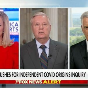 Lindsey Graham Instagram - The only reason that Biden's doing this is it’s becoming untenable not to look into whether or not the virus originated in a Chinese lab. We need to find out what happened so it never happens again. If the source of COVID-19 that turned the world upside down is from a lab in China, we need to hold China accountable for allowing that to happen.