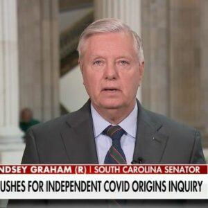 Lindsey Graham Instagram - If the first cases of COVID-19 occurred in November with lab workers in Wuhan – doesn't that make it more likely than not that the source of the virus was in the lab, not a wet market?