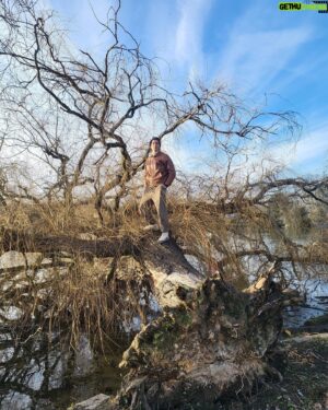 Lino Facioli Instagram - Is this a new album by the Fairport Convention? No it’s just me on a tree on a lake