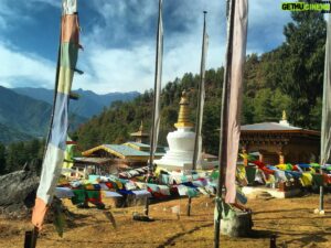 Lino Facioli Instagram - Happy New Year!!! 2020 is a good’n
Blessings all around 🎉 ✨💫 ———————— — — — ————————- - I want to say massive thank you again to @bhutananimalrescue for making this trip possible & for all the amazing work they’re doing! Also to everyone who helped me get here finally, and to everyone that convinced me to do this (you guys know who you are 😏), thank you, really 😊.
Also, @bluepoppybhutan who helped me organise this trip and spent ages helping me book and reschedule my ticket when I couldn’t get my act together, deserves a big thank you!
Goodbye 2019 thanks for the good times, let’s hope for many more🎊♥️🎉