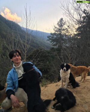 Lino Facioli Instagram - Merry Christmas everyone!! 🎄 Just wanted to say a massive thank you to @bhutananimalrescue . I’ve had the privilege of living at the rescue centre for the past month, and I cannot exaggerate how fantastic a place this is. They are one of the few animal rescue centres in Bhutan, and they are doing an AMAZING job looking after hundreds of sick, wounded and vulnerable animals of all shapes and sizes. However they are a nonprofit organisation, and without support they cannot keep on going. So if you are thinking of donating to a charity this Christmas, please keep them in mind; it doesn’t mater how much you give, every penny can help change the life of an animal! Okay preaching over, go enjoy the day with family and friends and have a good time :)