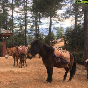 Lino Facioli Instagram - Bhutan! 🇧🇹