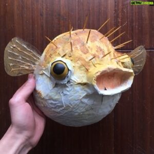 Lino Facioli Instagram - 🐡🐟🦑 photos of me dressed as a fish in a suit- taken on film by @workl3ns at last week’s climatestrike.
The idea behind this was that the oceans are being destroyed and no one in power is doing anything effective about it; So the fish decided to send their own representative. ————————————
Plastic is destroying our oceans: killing wildlife, poisoning eco systems and building it’s way up the food chain right back to us human beings. Cutting down on plastic bags and straws is great, but we’ve still got a long, long way to go and we’ve got to do it fast. 
The alternatives are out there, and change is possible, but we have to continue to pressure our governments to action, and continue to raise awareness to the point where it becomes economically inviable for companies to keep on pushing single use plastic packaging and products onto the market.
The time to act is now. We CAN make a difference!
#climatestrike #savetheoceans #fridaysforfuture