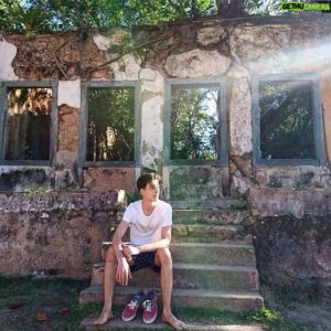 Lino Facioli Instagram - Tree growing on top of an old ruin #brasil #mataatlantica
