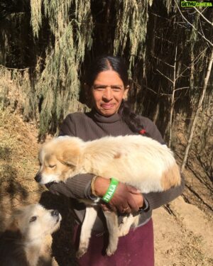 Lino Facioli Instagram - People places things pt1 ❤️: Guys, if you want to volunteer in Bhutan:  help some animals, meet some amazing people and see an incredible country, please message me or @bhutananimalrescue . Volunteers are needed