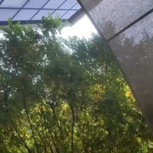 Lino Guanciale Instagram - Oggi è la #GiornataMondialedelRifugiato, un’occasione per raccontare le storie di chi, a causa di conflitti, violenze o persecuzioni, è costretto a lasciare il proprio paese. Per questo ho lasciato il mio telefono a Mahboba, fuggita dall’Afghanistan, che ci racconta cosa le dà speranza lontano da casa.

Tutti noi possiamo fare di più - nelle scuole, a lavoro, nella vita di tutti i giorni - per creare un mondo in cui tutti i rifugiati sono inclusi.

#HopeAwayFromHome