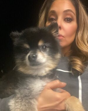 Lisa LoCicero Instagram - Ok.. this guy was shivering in the street (Well.. Stradella road in Bel Air) no collar… will find owner in the morning.. but in case anyone is missing this adorable pup…🤷🏼‍♀️ can’t leave it out in the street right? Not sure what to do..