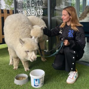 Lívia Bielovič Instagram - Dnešná sobota s takýmito úžasnými zvieratkami…🦙🙏🏼🥰

#saturday
#alpaca
#love
#motherdaughter
#time
#walking
@biteandbytealpacafarm