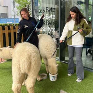 Lívia Bielovič Instagram - Dnešná sobota s takýmito úžasnými zvieratkami…🦙🙏🏼🥰

#saturday
#alpaca
#love
#motherdaughter
#time
#walking
@biteandbytealpacafarm