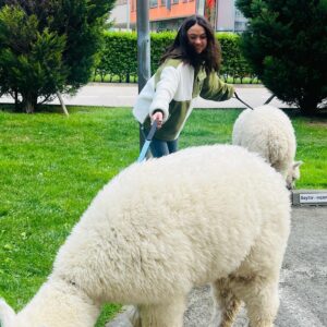 Lívia Bielovič Instagram - Dnešná sobota s takýmito úžasnými zvieratkami…🦙🙏🏼🥰

#saturday
#alpaca
#love
#motherdaughter
#time
#walking
@biteandbytealpacafarm