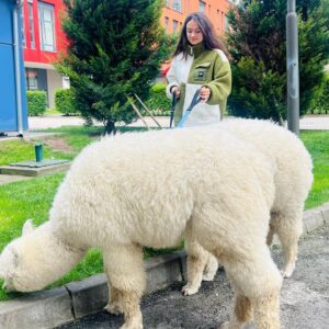 Lívia Bielovič Instagram - Dnešná sobota s takýmito úžasnými zvieratkami…🦙🙏🏼🥰

#saturday
#alpaca
#love
#motherdaughter
#time
#walking
@biteandbytealpacafarm