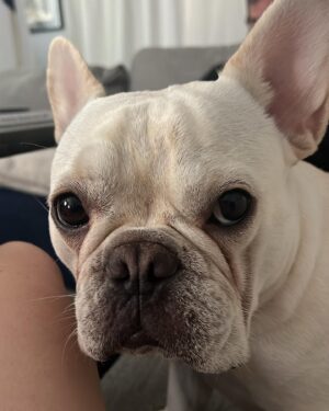 Lizze Gordon Instagram - I love hims