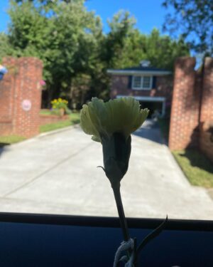 Logan Allen Instagram - Sweet Magnolias Season 3 BTS 
Part 1