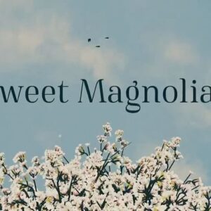 Logan Allen Instagram - Sweet Magnolias Season 3 Trailer :)
•
•
JULY 20th!!!