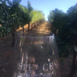 Lorenzo James Henrie Instagram - INCREDIBLE time seeing our dear friends at their vineyard @spencevineyards 

The Cab Rose was fantastic 

#napavalley