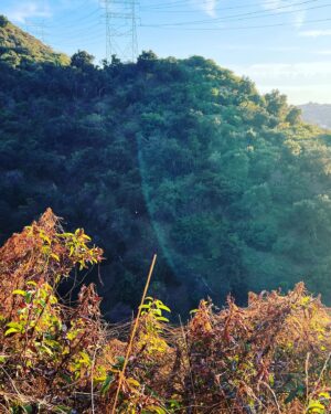 Lori Alan Instagram - Post wedding, Ojai, Malibu Thanksgiving, photo extravaganza🤩
happy #GratefulWeekend to you and yours. Going through wedding pictures, leaning into some solitude and nature, as it always heals and finding myself very reflective this weekend. I don’t eat meat, not always thrilled about what Thanksgiving historically means… But I love being grateful. It is an an opportunity every day for your mental, physical and spiritual well-being.
As a friend said to me today, “count your blessings and they will multiply“

Be kind. To YOU and everyone in your path. We’re not promised another tomorrow. Love each other with grace and fierceness.
I’m so grateful to be a wife to a wonderful man and feel truly safe. 
So grateful for my tribe and that my beautiful parents walked me down the aisle.

The holidays can be a very tender time. Brings up loss and grief and expectations and so much more, especially with the world collectively going through so much. Be easy with yourself. 

Praying for EVERYONE across the world for peace, peace, and more peace 🤍
What are you grateful for?