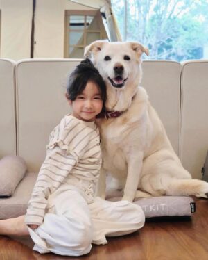 Louis Cheung Instagram - 兒童節快樂❤️✨
願平安和健康，與大家常在🫂

Posted @withregram • @kaytse 💗兒童節平安✨

沒什麼慶祝活動
只在家中和毛小朋友們玩
媽媽看新聞時跟我說
台灣有許多大朋友小朋友
都受到地震影響
兒童節可不可以許願的呢？
我的願望是大小朋友們都平安🙏🏻🫂❤️

@kakaball323