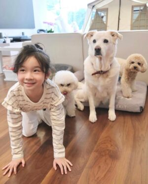 Louis Cheung Instagram - 兒童節快樂❤️✨
願平安和健康，與大家常在🫂

Posted @withregram • @kaytse 💗兒童節平安✨

沒什麼慶祝活動
只在家中和毛小朋友們玩
媽媽看新聞時跟我說
台灣有許多大朋友小朋友
都受到地震影響
兒童節可不可以許願的呢？
我的願望是大小朋友們都平安🙏🏻🫂❤️

@kakaball323