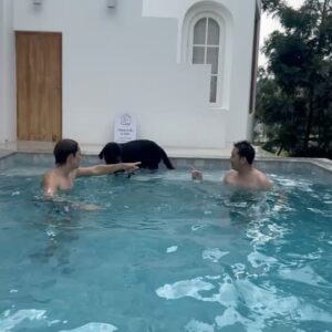 Louis Scott Instagram - ทริปนี้สนุกมากๆเลยขอบคุณพี่โด้ที่พาเราไปเที่ยว #ลงน้ำทุกวัน #พ่อมือเปื่อยหมดแล้ว @furbabiesvillakhaoyai ❤️🫰🏻🦮
