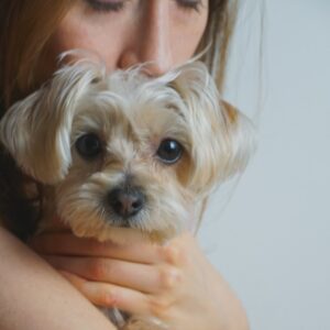 Louisa Erlich Instagram - Happy first birthday to the greatest light. This tiny six pound creature has made me laugh like never before, and made each day more beautiful and full. I’ve learned a lot from her, and cannot imagine life without her. My best little friend/love of my life. My Josianne.💕