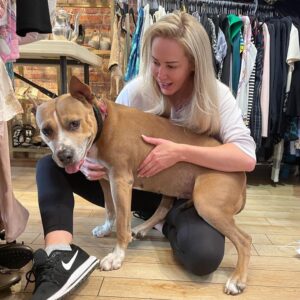Louise Linton Instagram - Today is National Adopt a Shelter Pet Day!! 

I have 5 shelter dogs 🐶 but this shout out goes to my friend Krista in Washington DC who rescued this big girl pit bull mix I met yesterday. ❤️ 

Please adopt don’t shop!!! 🙏🏼