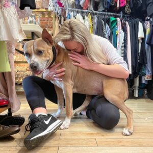 Louise Linton Instagram - Today is National Adopt a Shelter Pet Day!! 

I have 5 shelter dogs 🐶 but this shout out goes to my friend Krista in Washington DC who rescued this big girl pit bull mix I met yesterday. ❤️ 

Please adopt don’t shop!!! 🙏🏼