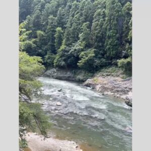 Lovely Summer-chan Instagram - この間27歳になりました。
お祝いのメッセージありがとうございました。27歳は頑張るつもりでいます、今後ともよろしくお願いします！

⭐︎
誕生日をフジロックで過ごそうか迷いましたが、大好きな嵐山に一泊することにしました。
8年前初めて嵐山に行ってからというもの、大きな休みがある毎に嵐山に通う嵐山フリーク。今までで一番の嵐山滞在でした。

こんなに綺麗なところで美味しいものを食べ続け祝われまくり、バチが当たらないか心配になるくらい最高の日を過ごさせてもらいました。
あまりにも最高で人に勧めたくなった・記録しておきたくなったので旅程を書かせてください。

⭐︎
京都駅から嵯峨嵐山駅へ。トロッコ嵯峨駅でトロッコに乗車。亀岡で下車。

保津川下りに乗船。トロッコは今まで数え切れないくらい乗ってきましたが、トロッコから見える保津川下りには乗ったことがなく、ずっと憧れていました。
2時間も素晴らしい景色の中船に乗れて、地酒も飲めて、船頭さんの話も無茶苦茶面白い。8年間積み上げてバベルの塔以上の高さに達した私の理想を軽々と上回る満足度でした。天気や船頭さんにも左右されると思いますが、本当におすすめ。

嵐山よしむらで蕎麦。美味しすぎてダイソン並みの勢いで吸引しました。

船で星のや京都へ。トロッコから「あの渓谷の崖っぷちにポツンと建っている宿はなんなんだ」と8年間ガン見&憧れ続けた宿に、ついに宿泊(T_T)
全室保津峡崖っぷちリバービュー、最高のホスピタリティでこれ以上の宿はないです。

嵐山MITATEでご飯。美味しすぎて幸せが限界突破して泣いてしまった。食材を水で抽出したものとお茶を混ぜて飲むペアリングが面白い。

嵐山公園を散歩。
宿に帰って就寝。
起床即朝鍋。
チェックアウトして嵐山と祇園を散策。

先斗町うしのほね本店の、これもずっと憧れだった納涼床で食事。ぽんとうに美味しかったです。

川沿いの最高喫煙所で一服してから鴨川を見てブライアンイーノの展示へ。最高です。会期延長が決定したので是非見に行ってください。

京都駅に着くと駅前で噴水ショーが行われていました。噴水ショーの音楽がなんとソフィーのIt's Okay to Cry。誰が選曲しているんだ。旅のフィナーレ感がすごかったです。

東京着。我々(私と恋人)は旅行から帰って東京に着くとき、旅行が終わってしまう悲しみを誤魔化すべく"東京に旅行に来ている観光客"になりきって帰ります。
京都から東京に旅行に来た我々は、東京の天一はどないなもんなんやろうかと気になり、天下一品を食べて帰りました。

至れり尽くせりしてくれた恋人、産んでくれた両親、祝ってくれた方に心から感謝します！嵐山行ってみてね⭐︎