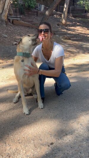 Lu Parker Instagram - Time to snuggle with my big Moose bear…Back together after a week away in France.
💃🏻💜🐶
Follow Moose if you like @moosedogla 

#bigdogs #rescue #topangacanyon #lifeisgood #kindnesswins #moosedogla #adoptdontshop #agirlandherdog