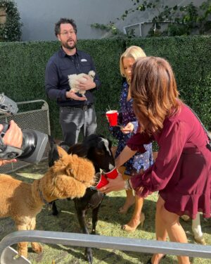 Lu Parker Instagram - As a woman who grew up spending a lot of time in a barn & a lover of animals, I couldn’t have been more happy today at work with these critters…and laughing with @kaceymontoya 

If you are looking to giveback this holiday season, check out the catalog by @worldvision -You will find easy ways to help underprivileged families around the world.  From providing an animal who can produce eggs or milk to buying a wheelchair for a disabled child, the options are perfect. 

We all have so much to be grateful for and we have a lot of meaningless “stuff.” This is a cool way to be kind and say “I care…”
 
And I wanted bring the baby alpaca home with me! 🦙

Thanks for booking this @fancynancyofficial_ 🦙🐮🐔

Pics by @salbano 

#farmlife #worldvision #ktla #alpaca #donkey #giveback #givingtuesday #kindnessmatters #bekind #funday #holidays #countrygirl