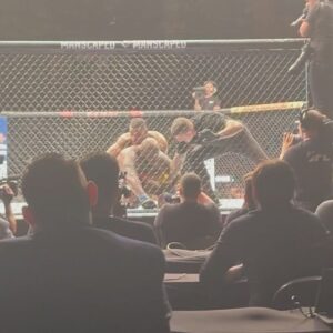 Luana Carolina Instagram - Em 2018, foi a primeira vez que fui a um evento como atleta do UFC, tinha acabado de ser contratada. 
Mas ver novamente em SP, recorde de público, casa cheia, foi muito especial também. Ainda mais em um card recheado de brasileiros que conquistaram seus contratos da mesma forma que eu conquistei em 2018 pelo Contender (8 lutadores que vieram do Contender). 
Nesse evento do último sábado, fui para assistir, mas logo logo eu vou anunciar minha próxima luta… 🙅🏾‍♀️😁

#ufc #ufcsp #ufcbrasil #luta #fight #wmma #wakandaforever