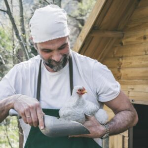 Luca Calvani Instagram - Qui a Le Gusciane coccoliamo ogni creatura, piccola o grande cane, galletto o ape.
🐶🐓🐝
Cheeky, è uno dei nostri pulcini. Lo tenevamo nella nostra stanza quando era piccolo, e ora eccolo qui, un galletto amorevole che aiuta gli altri piccoli pulcini prendendosene cura. Siamo fieri di te e del tuo istinto che ti porta a proteggere i più piccoli, senza che nessuno te lo abbiamo insegnato, ma con la semplice volontà di farlo. 

#tuscany #countrylife #farmhouse #chicken #holiday #travel #italy 

Ph @intheblinkofamirror