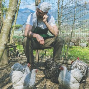 Luca Calvani Instagram - Qui a Le Gusciane coccoliamo ogni creatura, piccola o grande cane, galletto o ape.
🐶🐓🐝
Cheeky, è uno dei nostri pulcini. Lo tenevamo nella nostra stanza quando era piccolo, e ora eccolo qui, un galletto amorevole che aiuta gli altri piccoli pulcini prendendosene cura. Siamo fieri di te e del tuo istinto che ti porta a proteggere i più piccoli, senza che nessuno te lo abbiamo insegnato, ma con la semplice volontà di farlo. 

#tuscany #countrylife #farmhouse #chicken #holiday #travel #italy 

Ph @intheblinkofamirror