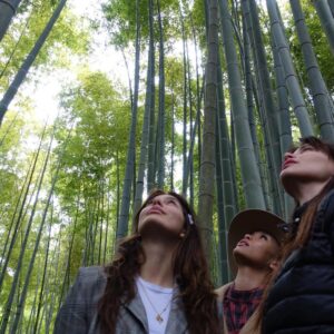 Lucila Solá Instagram - Magical Japan 🇯🇵