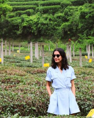 Lucy Cominetti Instagram - Campos de té 🍃 🍃🍃🍃🍃🍃🍃 Hangzhou es famosa por producir el mejor té verde del mundo. Una variedad llamada Longjing que se cosecha en enormes y frondosas plantaciones a un costado del West Lake. El lugar es de una belleza tan exuberante y calma a la vez... 🙏🏻