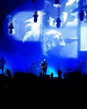 Lucy Cominetti Instagram - Now
We are one
In everlasting peace
❤
#RadioheadenChile 11.04.18