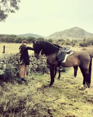 Luis Fernández Instagram - Morning  #monteCa #madrid #sierra #caballos