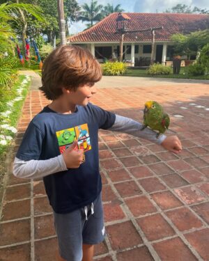 Luis Gerónimo Abreu Instagram - Que buen descubrimiento!! Este lugar es maravilloso, muchas actividades para disfrutar con amigos, en pareja, en familia! Esto es solo un resumen de nuestro sábado en @haciendalacalceta ya le contaremos más… 

#fotodump
#findesemana 
#buenplan
#bejuma
#amigos
#familia 

@romeroadriana 
@luisgeronimoabreu 
#salvador
#alana
#juandi