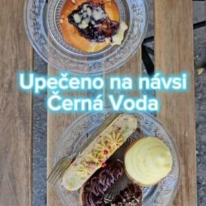 Lukáš Hejlík Instagram - Milujeme s #gastromapalukasehejlika hledat skvělé podniky na místech, kde byste je nečekali. A to o @upecenonanavsi rozhodně platí! Skvělá cukrárna na návsi v Černé Vodě v @rychlebske_hory v @olomoucky_kraj_tourism . Pak už brzo report na FB a podnik bude v appce.
#upecenonanavsi 
#rychlebskehory 
@rychlebske_stezky 
#jeseniky 
#nainspekci
#id7 @volkswagencz 
#partnergastromapy