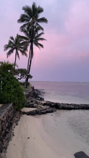 Luke Caldwell Instagram - There is still beauty to be found 💕  #hawaii #home #family #chinamanshatisland @nakedhawaii @timberandlove_staywithus